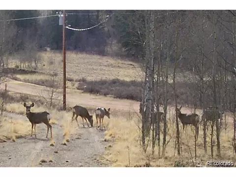 155 Folsom Dr, Jefferson, CO 80456
