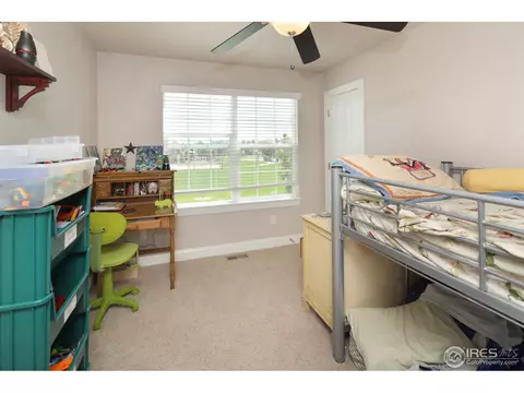 1225 Founders Cir, Windsor, CO 80550 photo 10