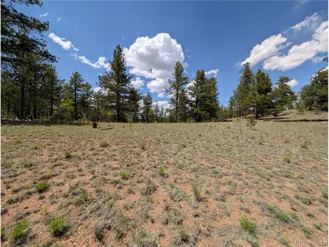 2053 Badger Creek Rd, Hartsel, CO 80449