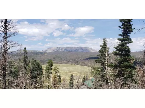 784 Duckworth Dr, Fort Garland, CO 81133