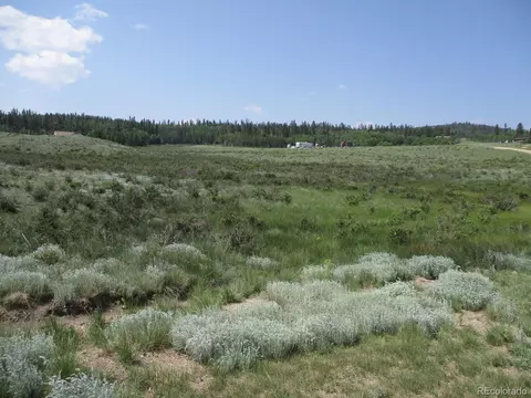 1349 Pinto Trl, Como, CO 80432 photo 1