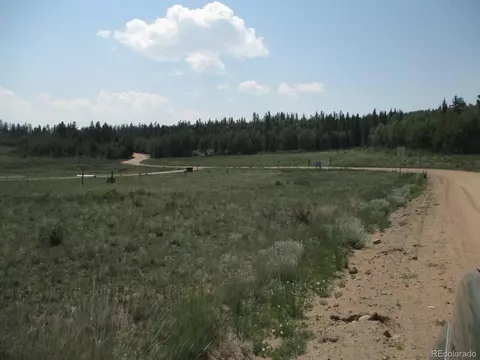 1349 Pinto Trl, Como, CO 80432 photo 17