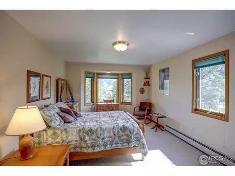 234 Deer Ln, Lyons, CO 80540 photo 15