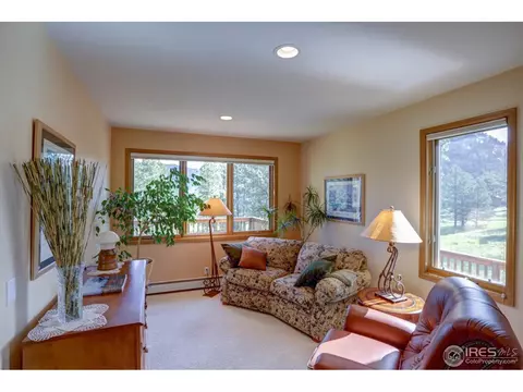 234 Deer Ln, Lyons, CO 80540 photo 10