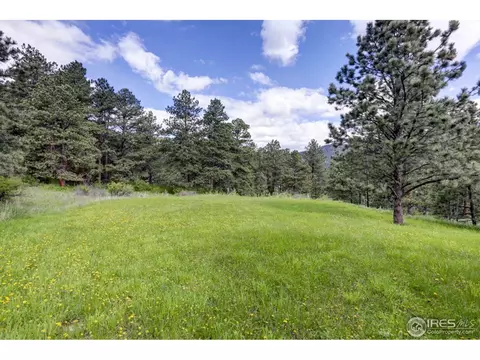 234 Deer Ln, Lyons, CO 80540 photo 25