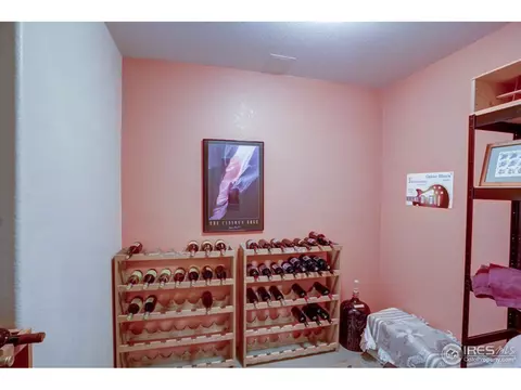 234 Deer Ln, Lyons, CO 80540 photo 21