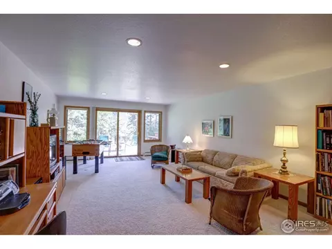 234 Deer Ln, Lyons, CO 80540 photo 18
