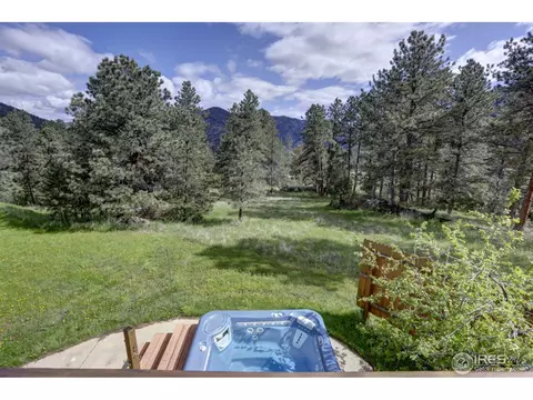 234 Deer Ln, Lyons, CO 80540 photo 24
