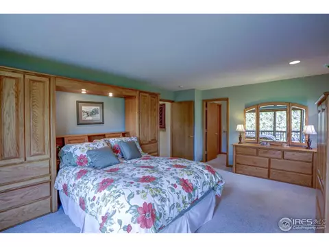 234 Deer Ln, Lyons, CO 80540 photo 12