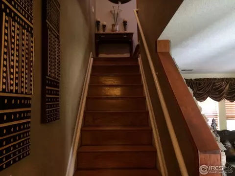 435 E 78th Dr, Denver, CO 80229 photo 9