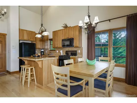 215 Campfire Ln, Fraser, CO 80442 photo 9