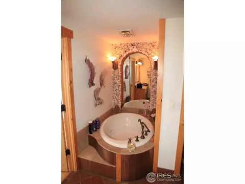 876 Stagecoach Trl, Lyons, CO 80540 photo 7