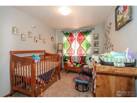 414 Sorrel Dr, Windsor, CO 80550 photo 16