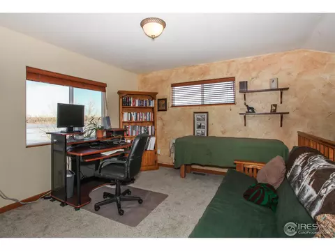 414 Sorrel Dr, Windsor, CO 80550 photo 12