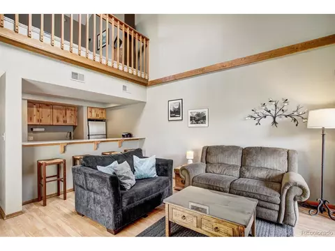 500 Bills Ranch Rd #301, Frisco, CO 80443