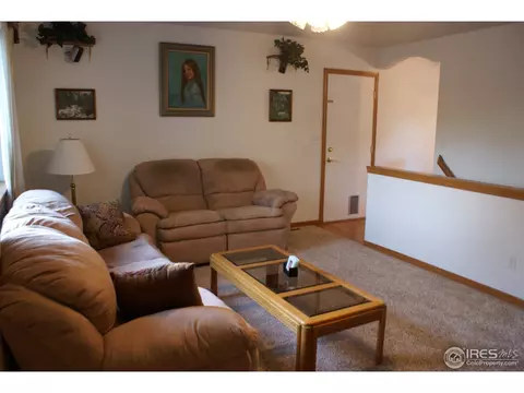 907 Mesa Ct, Windsor, CO 80550 photo 3