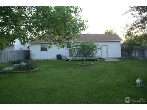 907 Mesa Ct, Windsor, CO 80550 photo 24