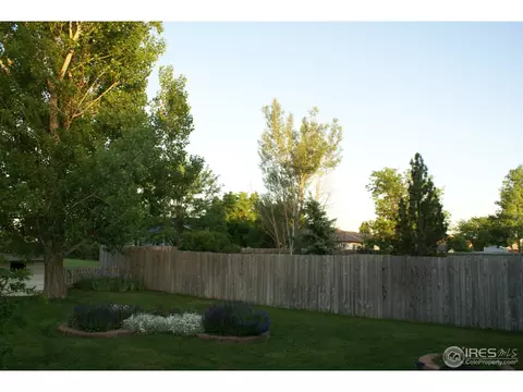 907 Mesa Ct, Windsor, CO 80550 photo 21