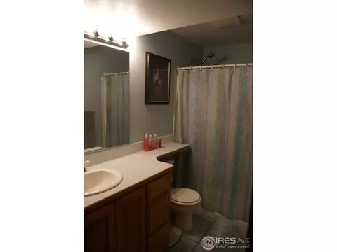907 Mesa Ct, Windsor, CO 80550 photo 18