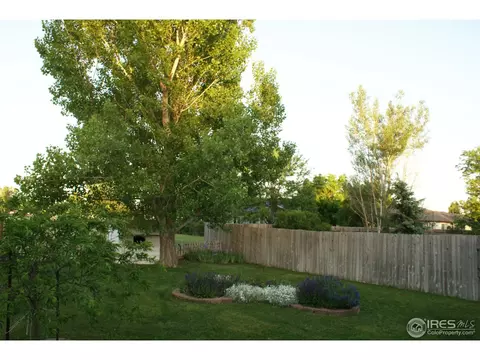 907 Mesa Ct, Windsor, CO 80550 photo 20