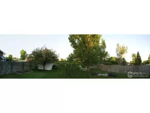 907 Mesa Ct, Windsor, CO 80550 photo 19