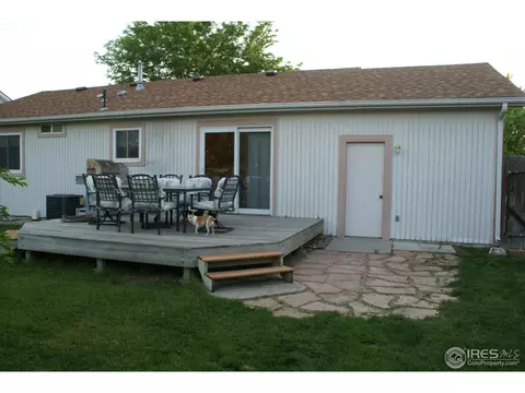 907 Mesa Ct, Windsor, CO 80550 photo 22