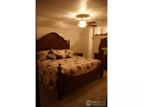 907 Mesa Ct, Windsor, CO 80550 photo 9