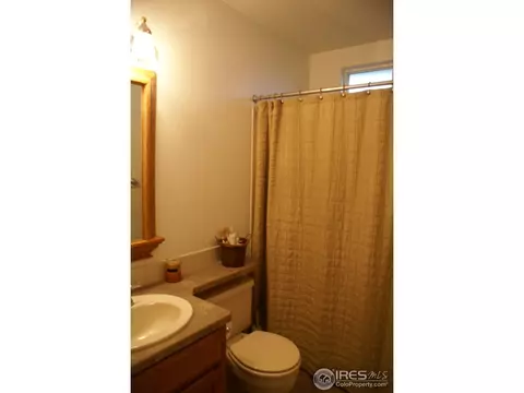 907 Mesa Ct, Windsor, CO 80550 photo 15