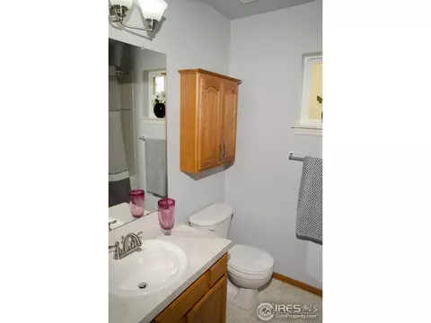 111 Flat Iron St, Severance, CO 80550 photo 10