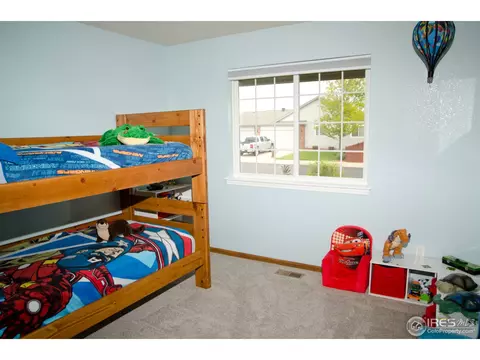 111 Flat Iron St, Severance, CO 80550 photo 9
