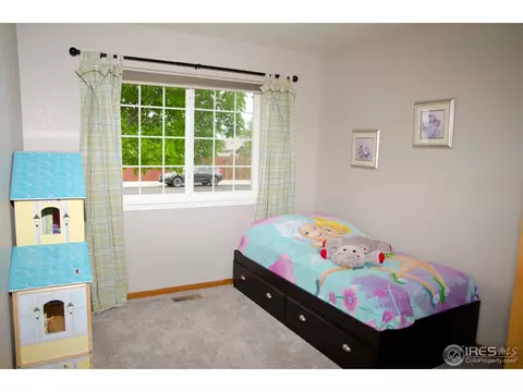 111 Flat Iron St, Severance, CO 80550 photo 8