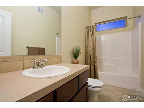 6989 Fireside Dr, Timnath, CO 80547 photo 21