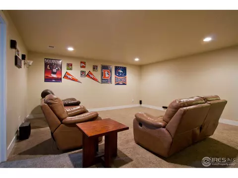 6989 Fireside Dr, Timnath, CO 80547 photo 17