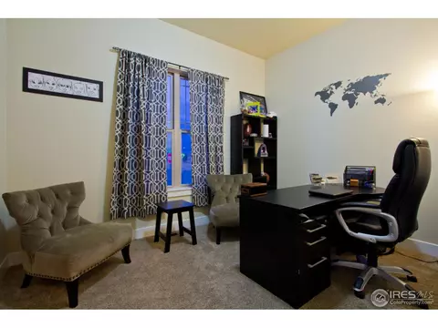 6989 Fireside Dr, Timnath, CO 80547 photo 10