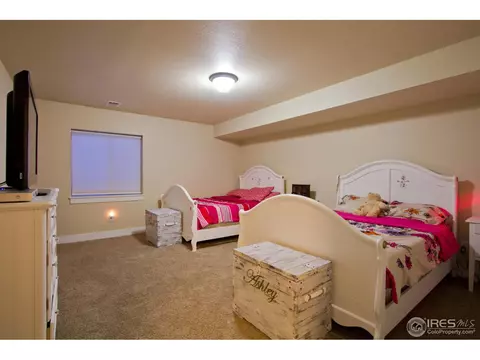 6989 Fireside Dr, Timnath, CO 80547 photo 19