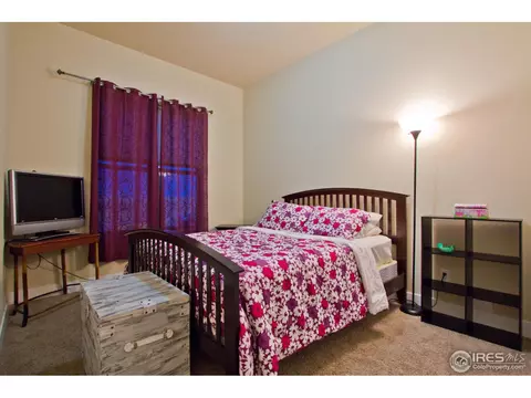 6989 Fireside Dr, Timnath, CO 80547 photo 18