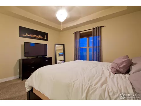 6989 Fireside Dr, Timnath, CO 80547 photo 12