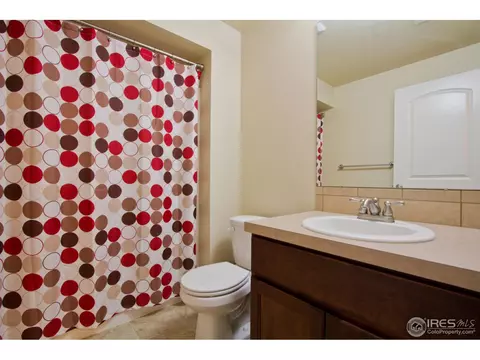 6989 Fireside Dr, Timnath, CO 80547 photo 20