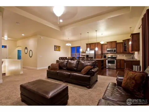 6989 Fireside Dr, Timnath, CO 80547 photo 4