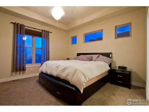 6989 Fireside Dr, Timnath, CO 80547 photo 11