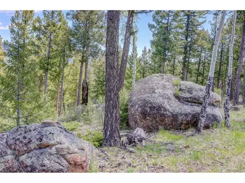 1078 Nova Rd, Pine, CO 80470 photo 46