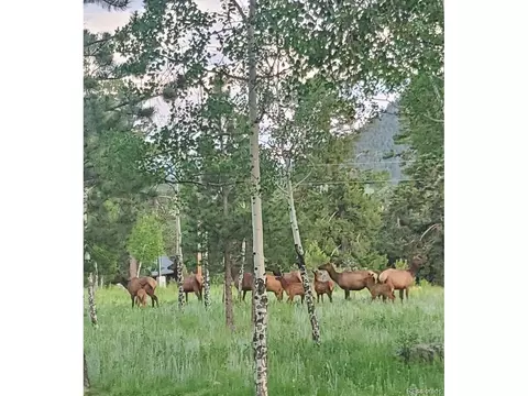 1078 Nova Rd, Pine, CO 80470 photo 45