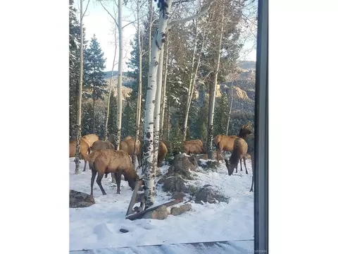 1078 Nova Rd, Pine, CO 80470 photo 40