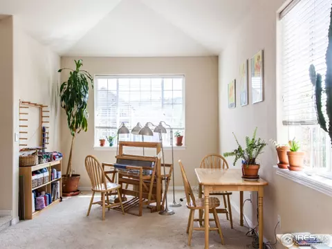 111 Estes Ct, Lyons, CO 80540 photo 13