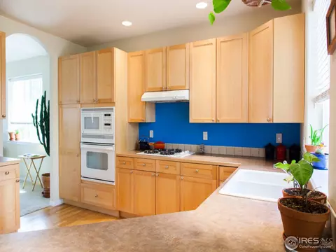 111 Estes Ct, Lyons, CO 80540 photo 10
