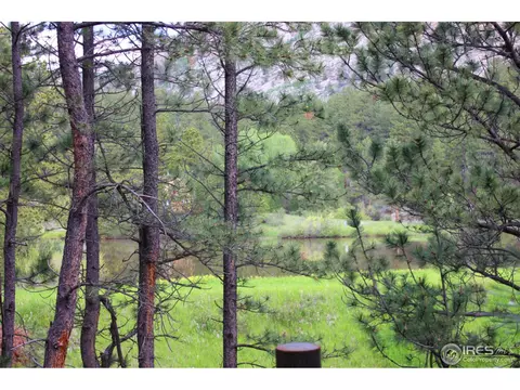 515 Chipmunk Pl, Drake, CO 80515 photo 11