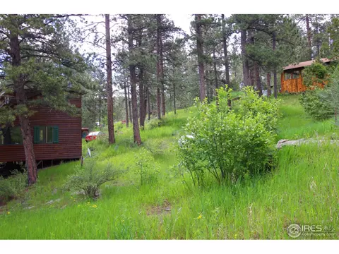 515 Chipmunk Pl, Drake, CO 80515 photo 4