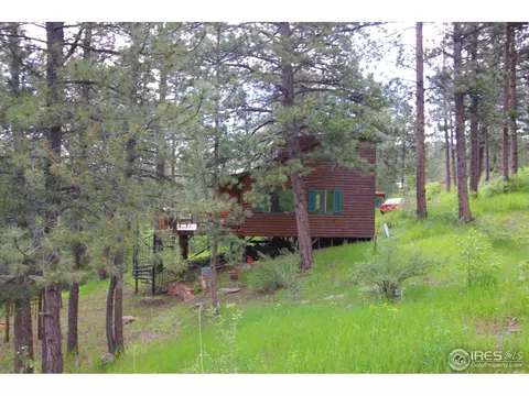 515 Chipmunk Pl, Drake, CO 80515 photo 3