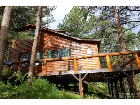 515 Chipmunk Pl, Drake, CO 80515 photo 6