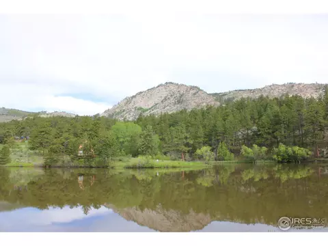 515 Chipmunk Pl, Drake, CO 80515 photo 12